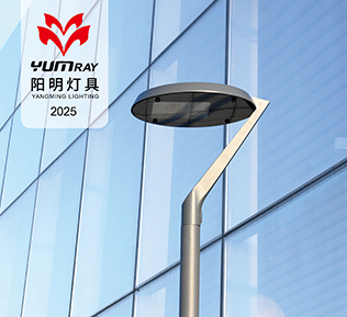ইয়াংমিং লাইটিং 2025